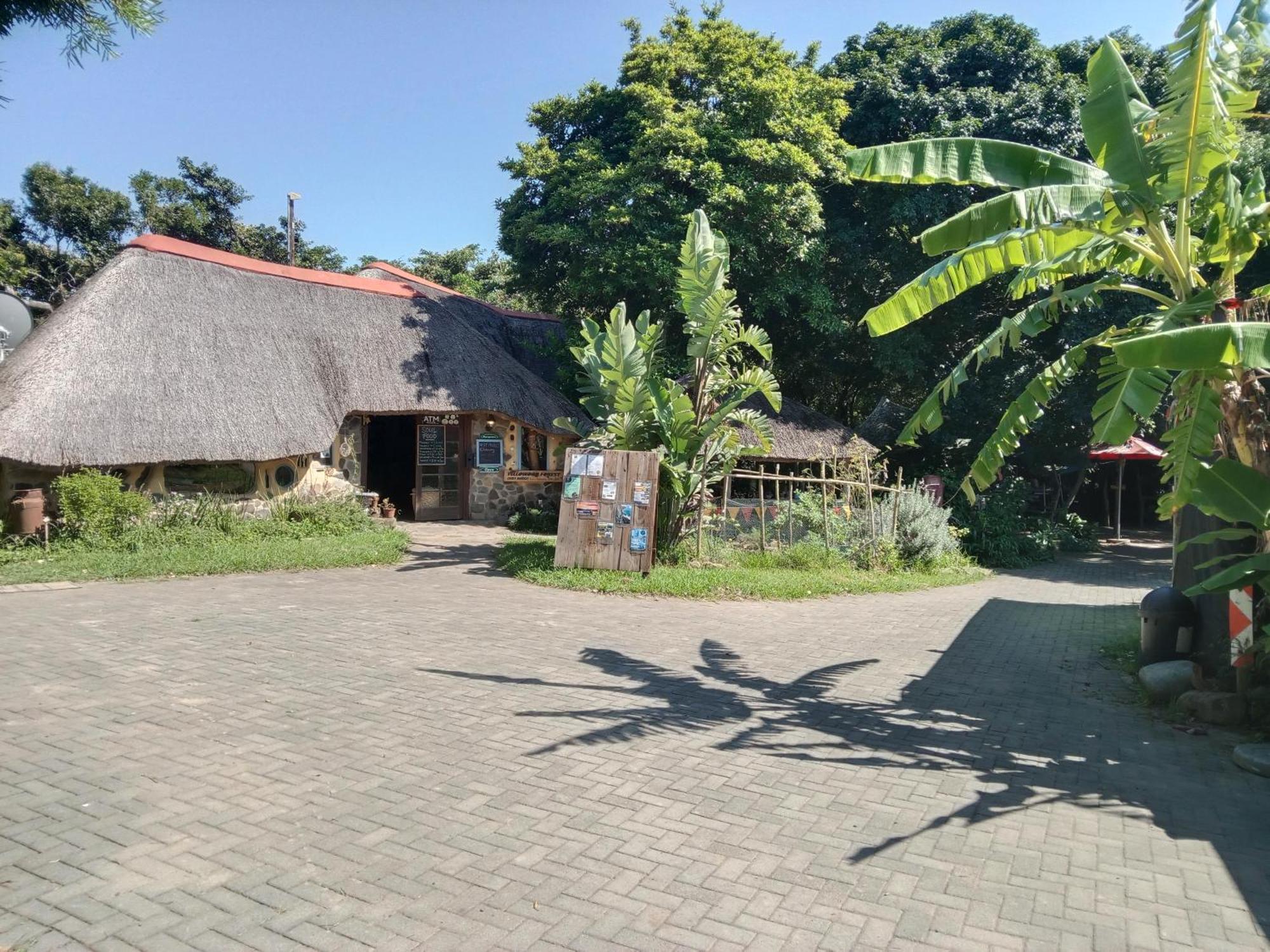 Yellowwood Forest Eco Retreat Morgan's Bay Exterior foto